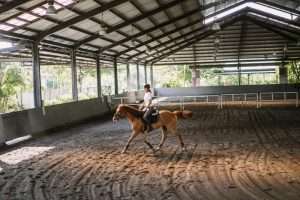 how much property do you need for a horse